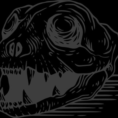 Cat Skull2 Thumbnail