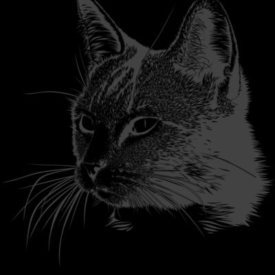 drawing cat Thumbnail