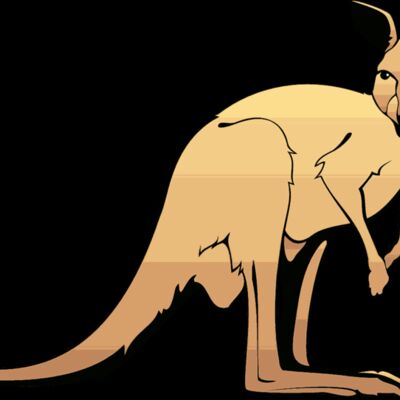 kangaroo Thumbnail